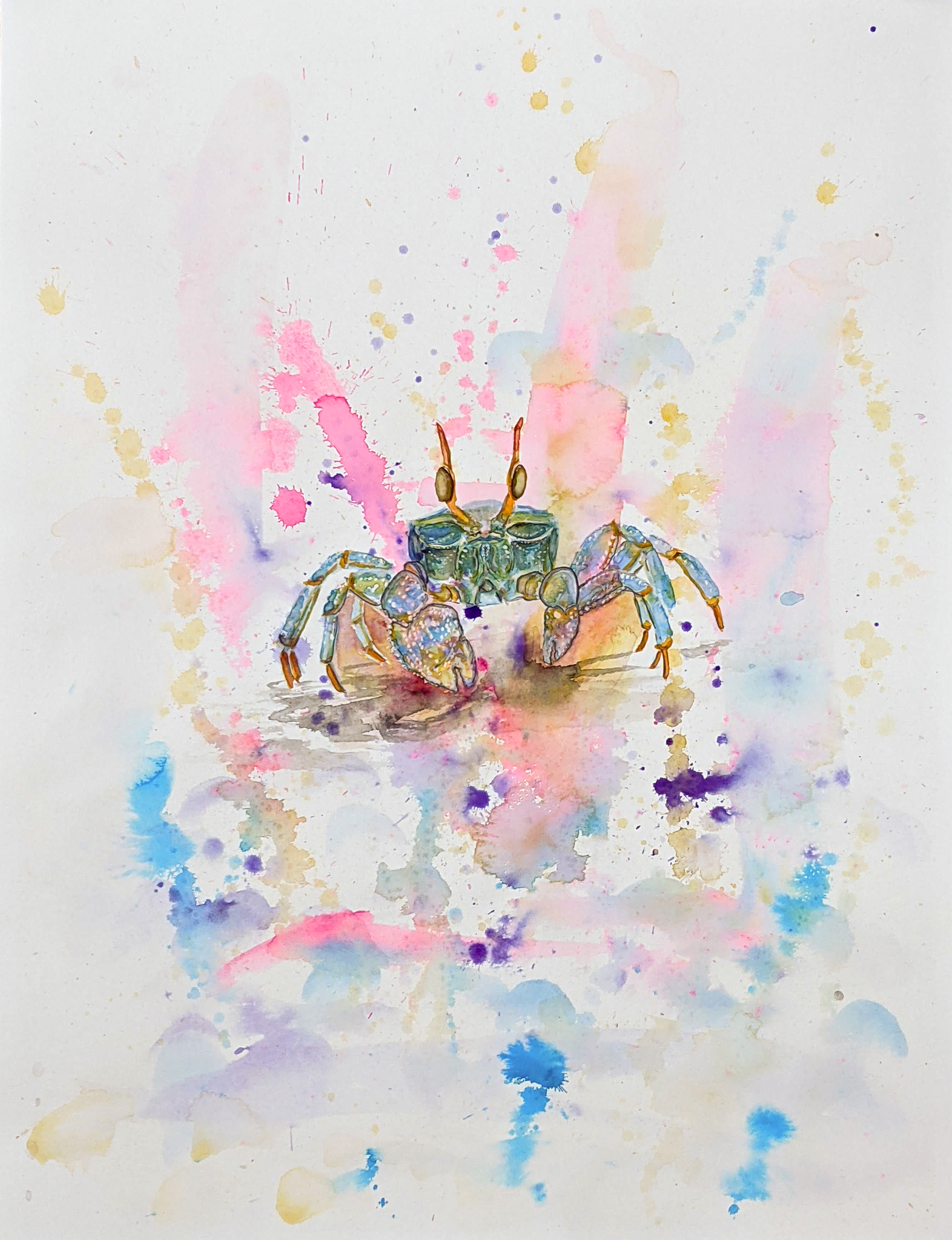 Blue Crab