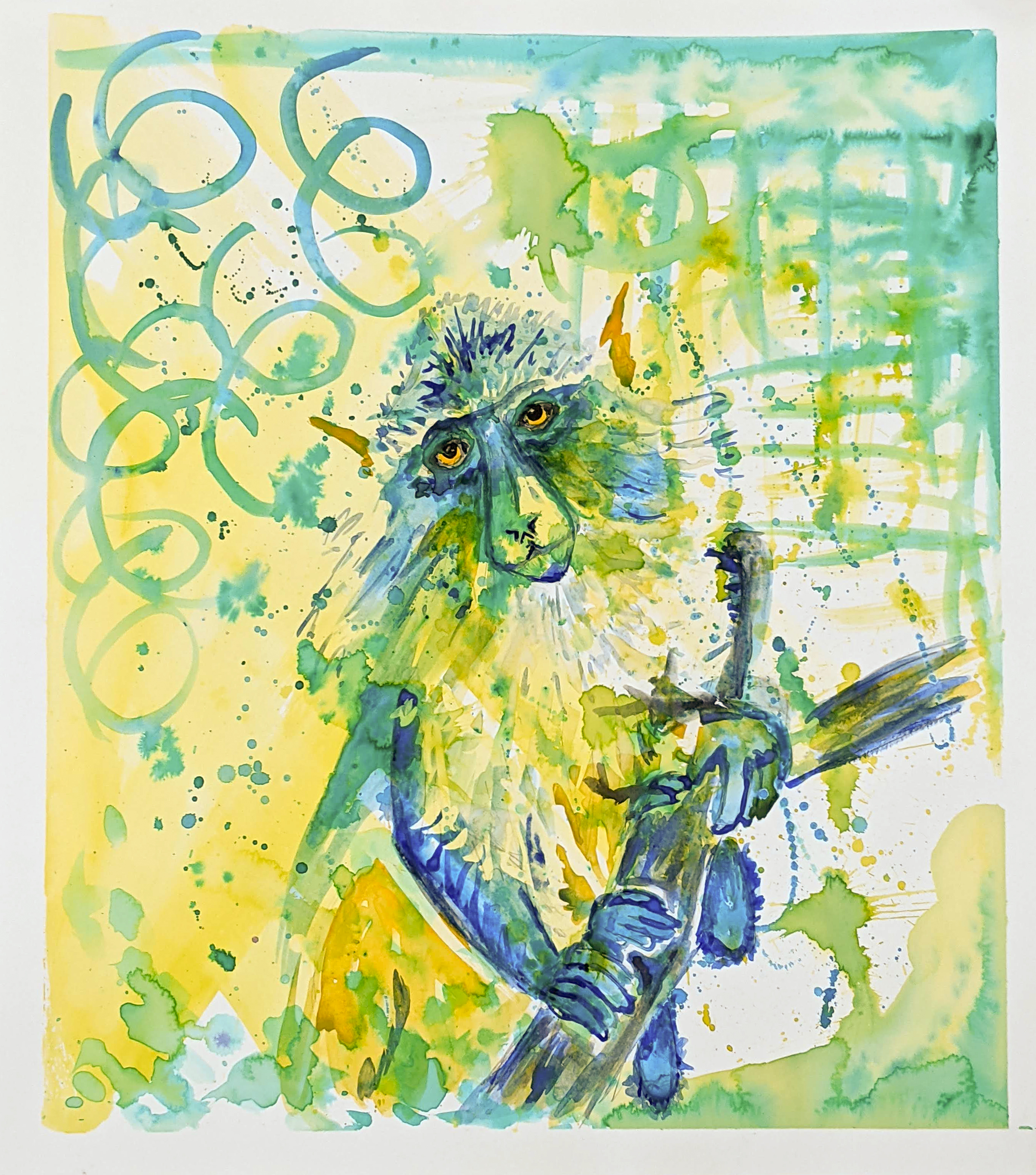 Wolf's Mona Monkey