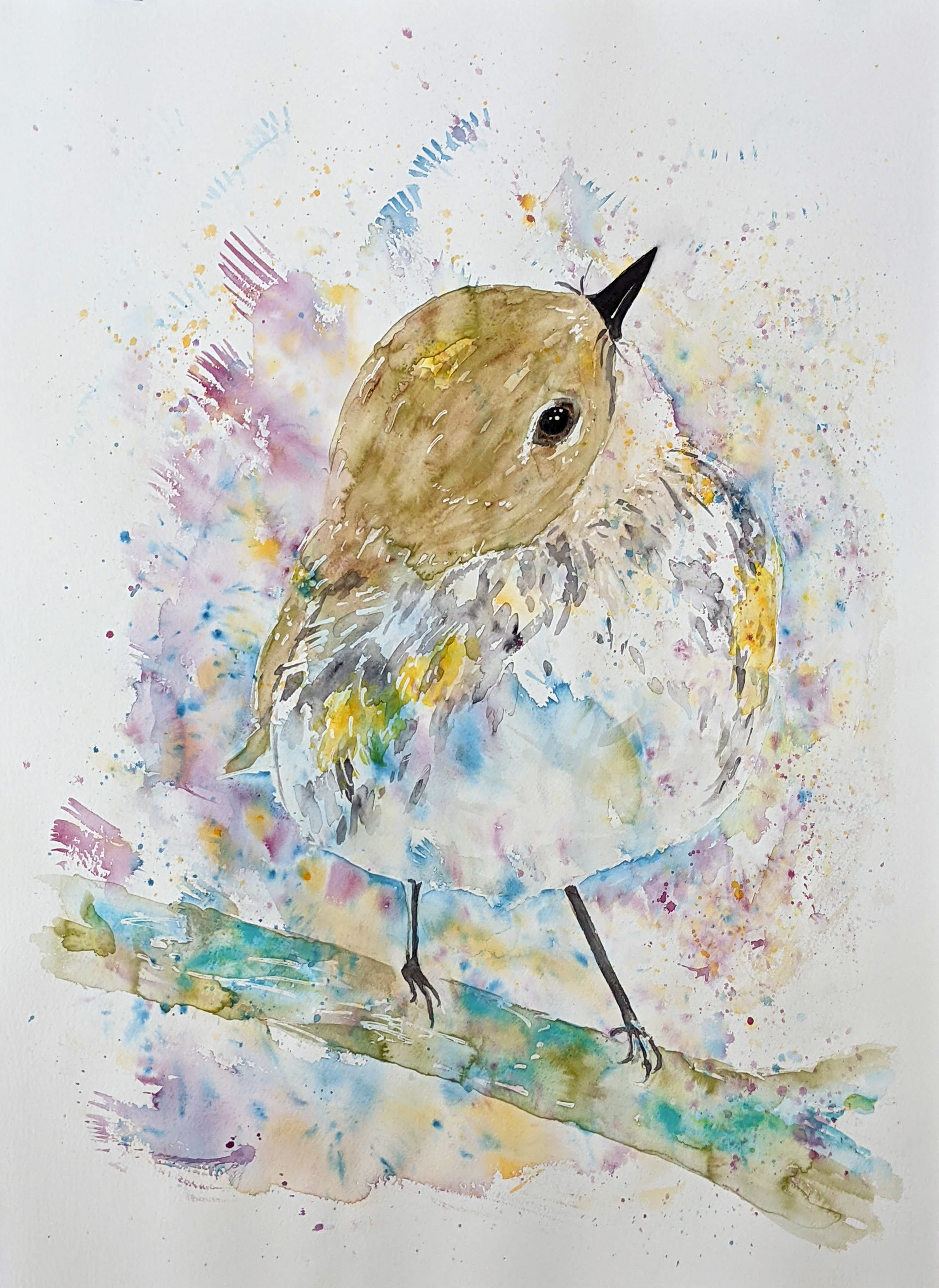 Curious Bird