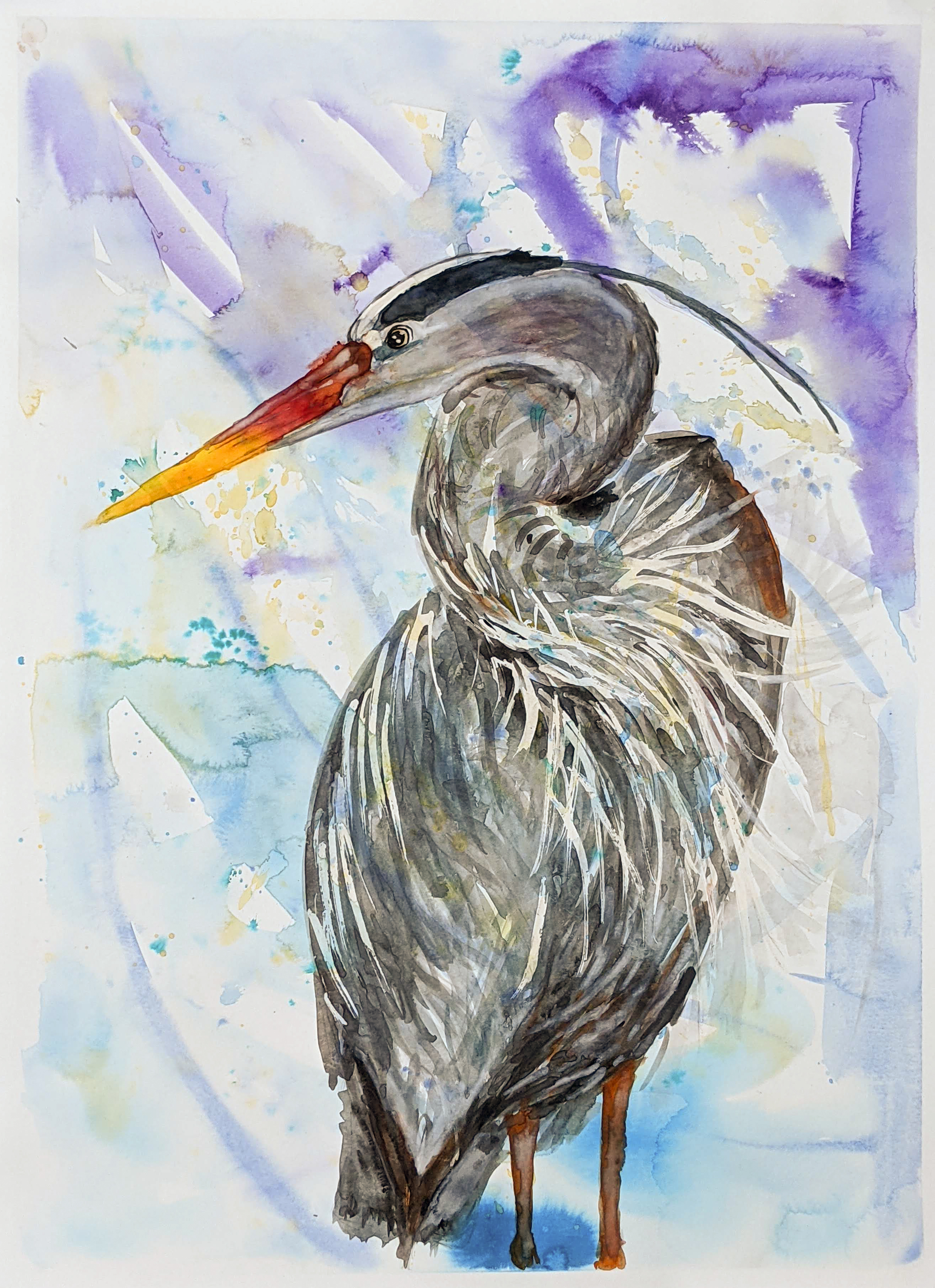 Great Blue Heron