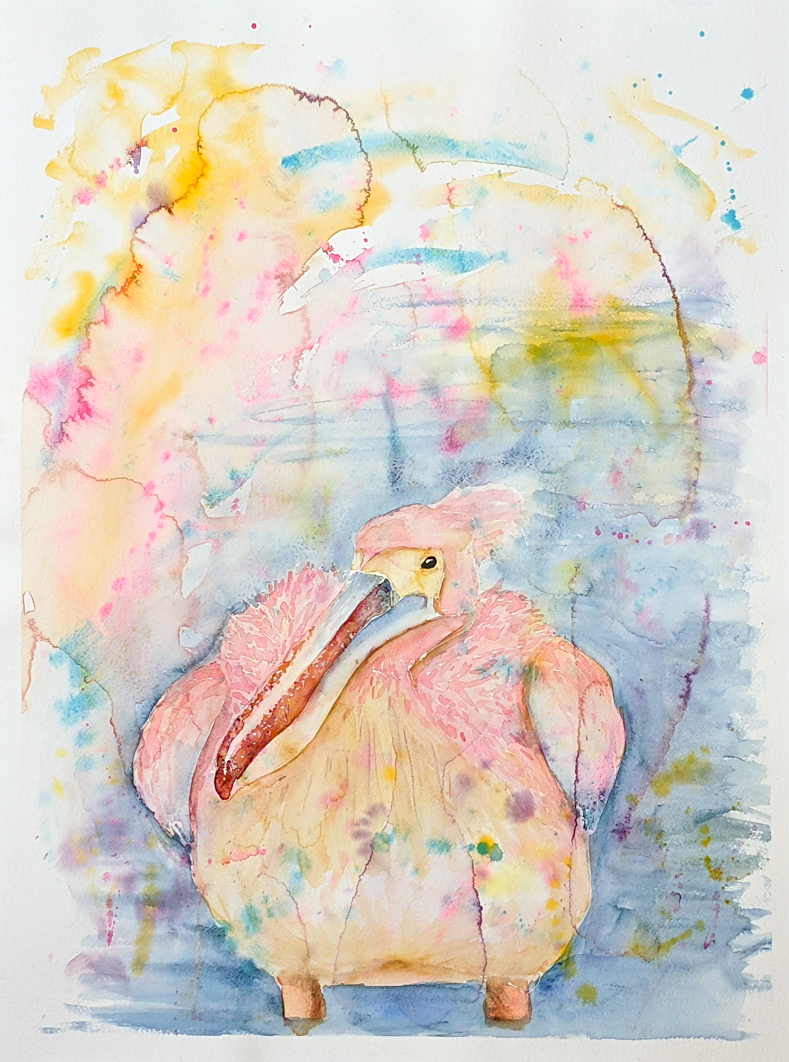 Pink Pelican