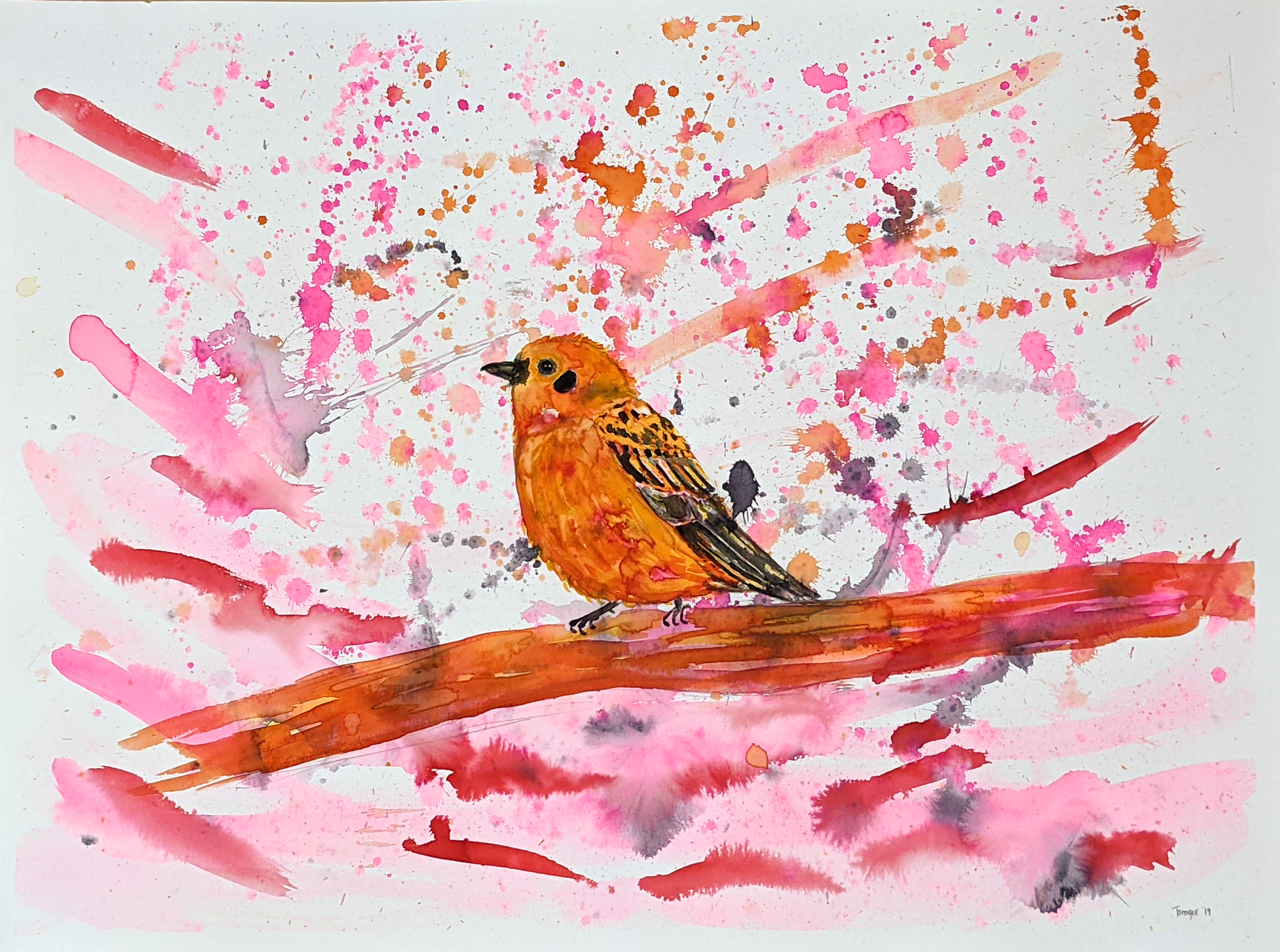 Tanager